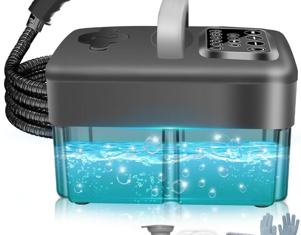 Vaporeta Mecmic de 2500 W para limpieza del hogar